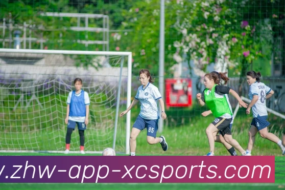 数据防护可视化