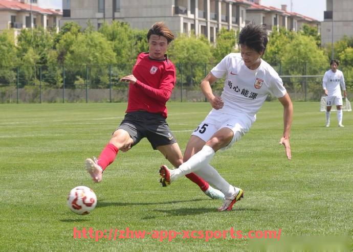 杏彩体育-法甲比赛回顾及重要比赛技术细节解析